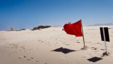 Shifting red flags to green flags: how to avoid the “situationship”